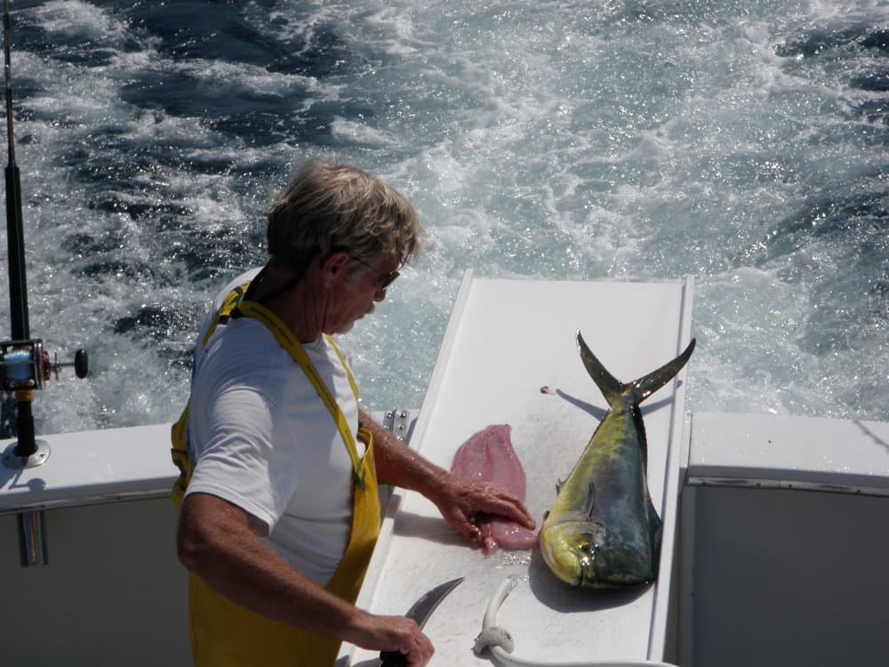 Trophy fish