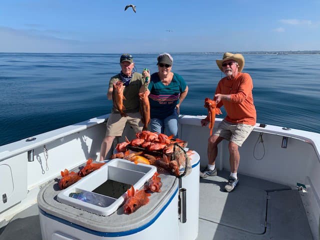 9-Hour Offshore Trip